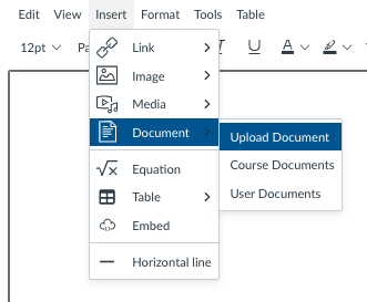 RCE with Insert, Document, Upload Document selected