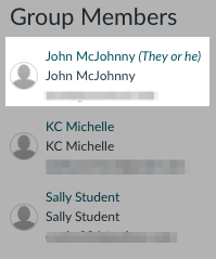 Name with pronouns in Group's People tool